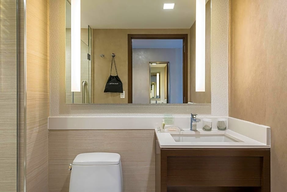 Holiday Inn Brooklyn Downtown By IHG