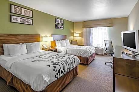 Double Room with Two Double Beds - Non-Smoking