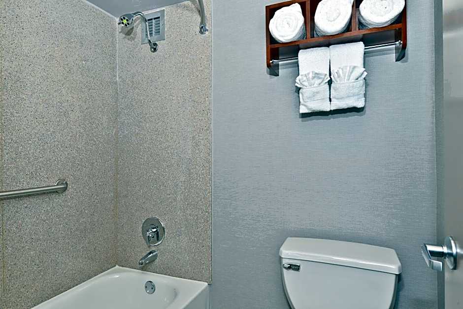 Wyndham Garden Elk Grove Village / O'Hare