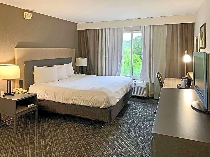 Comfort Inn & Suites Ruston-East
