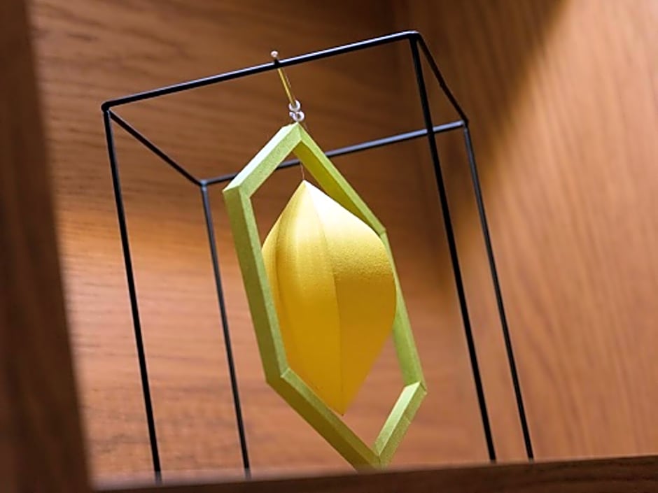 Nishitetsu Inn Shinjuku