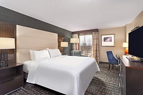 1 King Standard Communication Mobility Accessible Tub