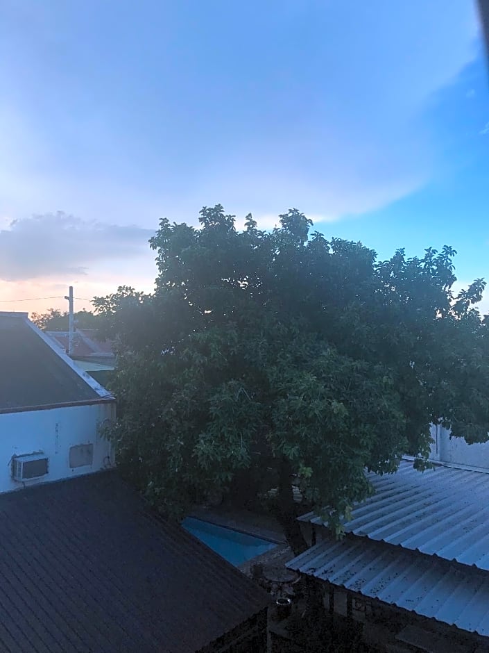 Purple Tree Bed and Breakfast