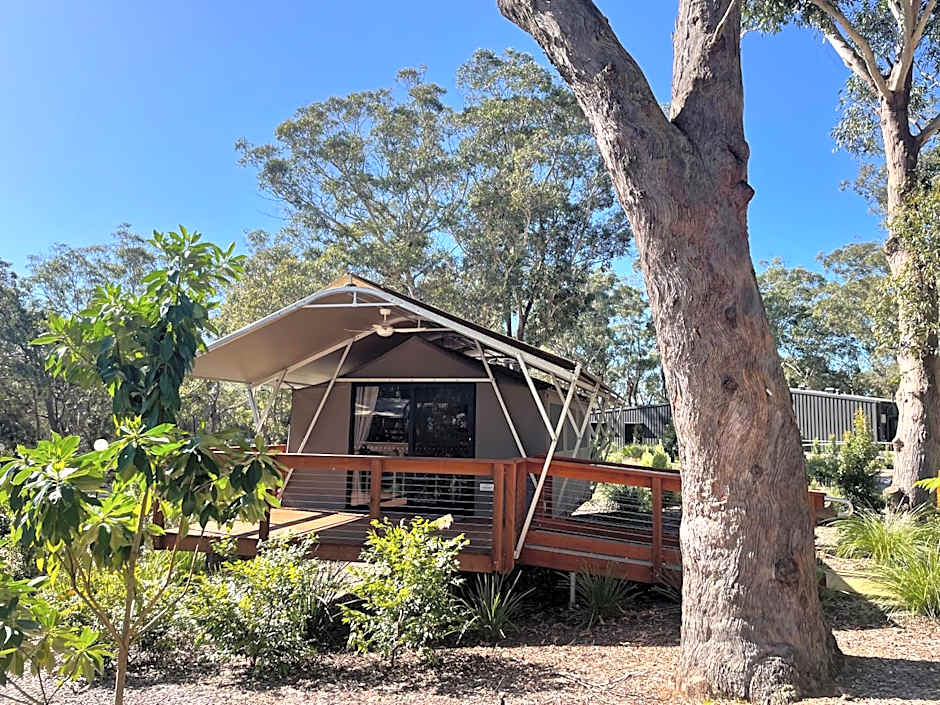 Port Stephens Koala Sanctuary