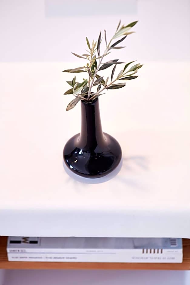 Absolute Mykonos Suites & More