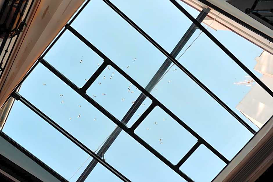 Hotel Legado Alcazar