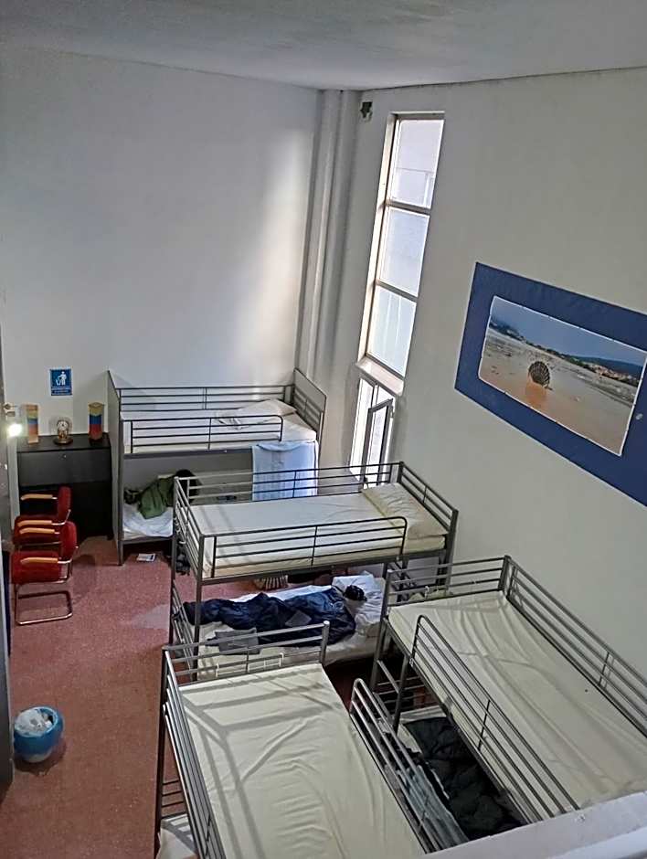 El Peregrino Najerino