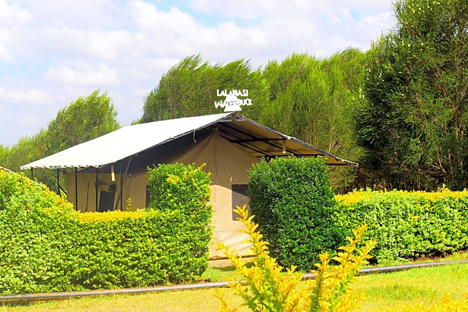 Lalanasi Lodge & Tented Camp