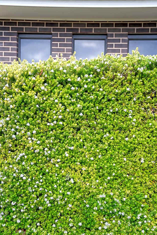 Villas on the Bay Kingscote