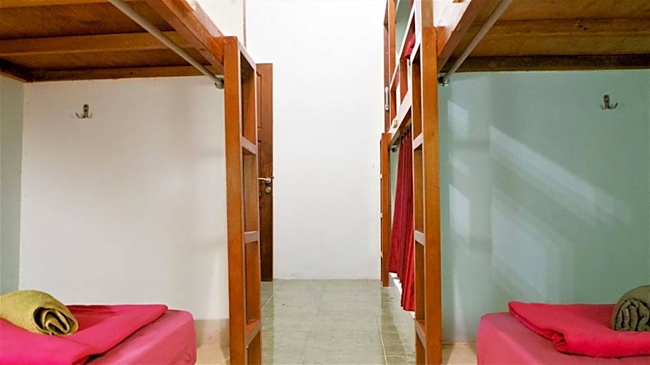 Sleepy Raccoon Hostel