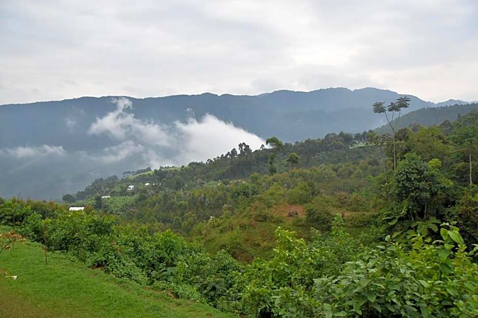 Chimpanzee Lodge