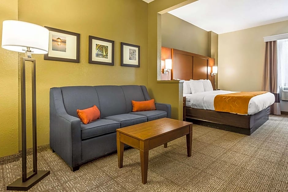 Comfort Suites At the University