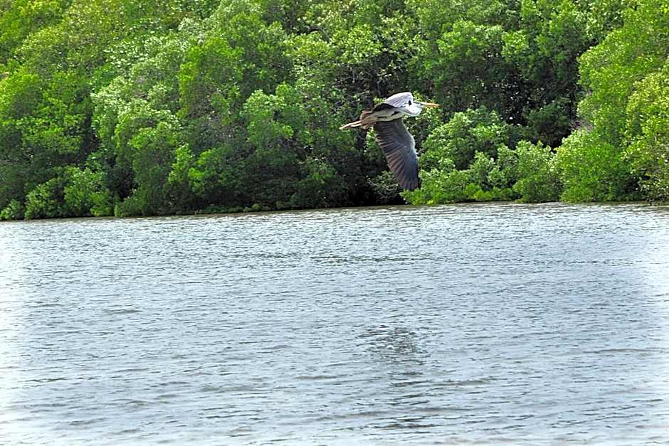 The Waves Beach Chalets