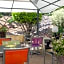 Hotel Le Collonges