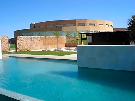 Pago Del Vicario Hotel