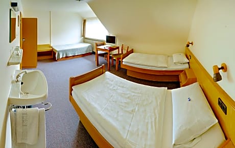 Triple Room with Shared Shower in Hallway