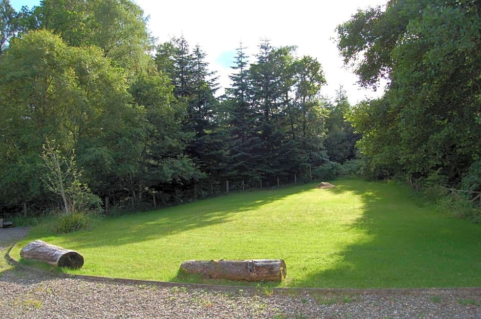 Luxury woodland Alder Lodge