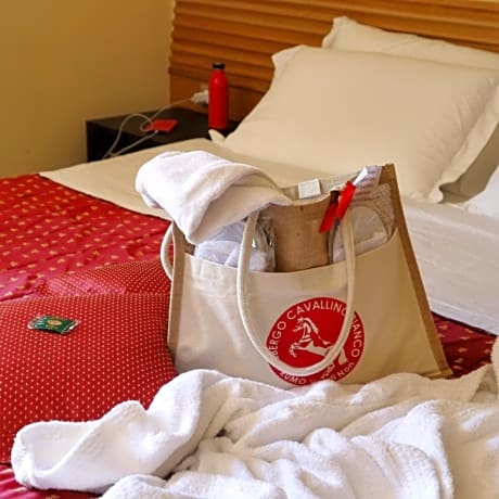 Double or Twin Room with Balcony