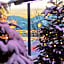 Alpines Lifestyle Hotel Tannenhof