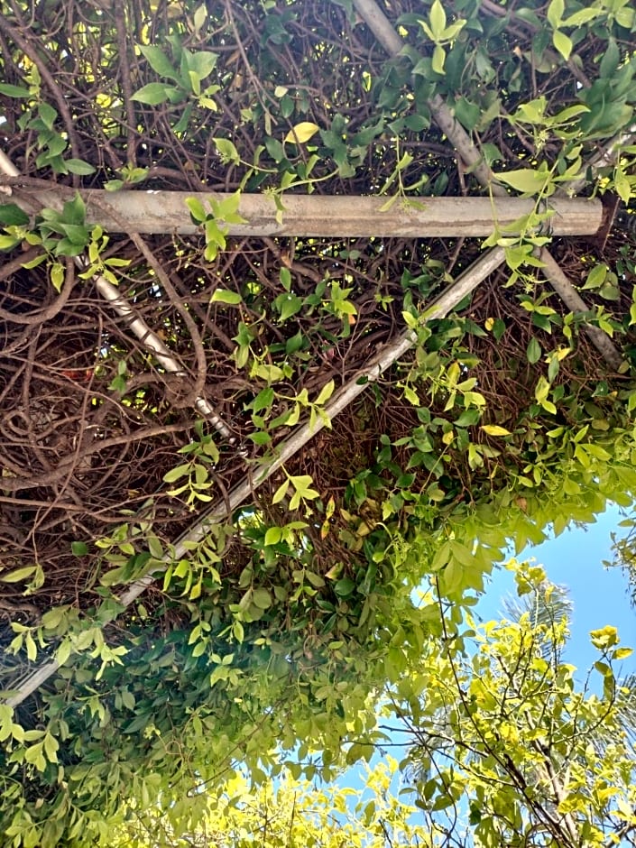 Tettoeletto Garden Bio