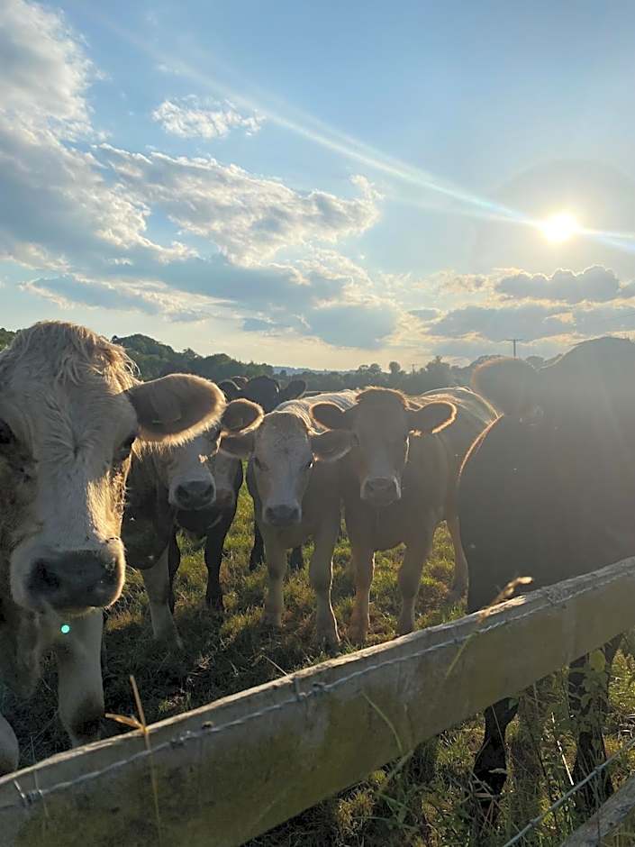 The Talbot at Knightwick