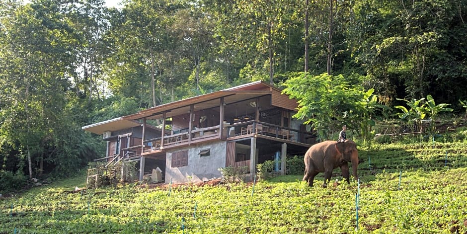 Chiang Mai Elephant Friends