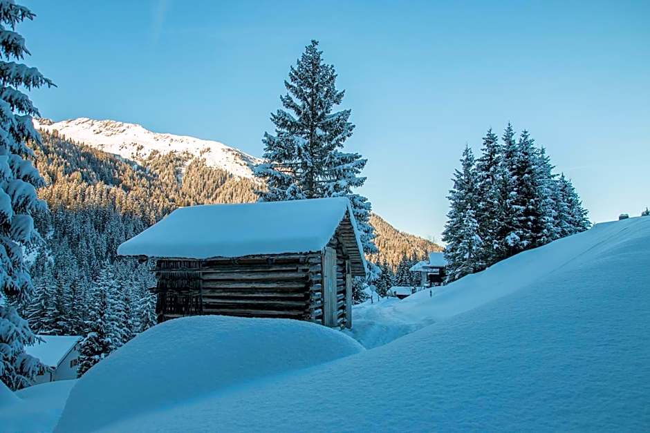 Hotel Bradabella - Montafon