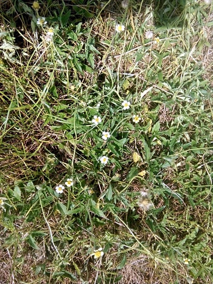 RMTM's Beachfront Accommodation - Caramoan