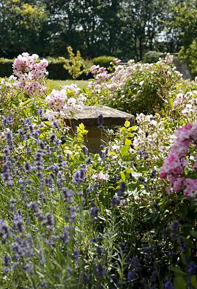 Overtown Manor Bed and Breakfast