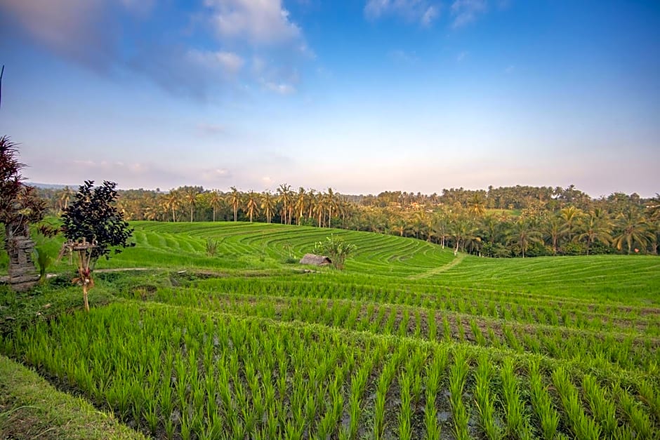 Bali Green Retreat