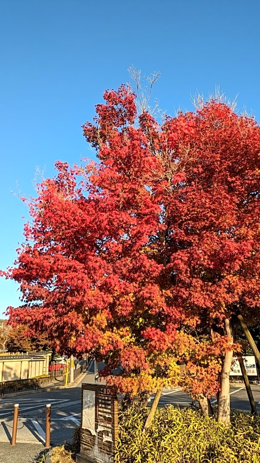 Hotel Arashiyama
