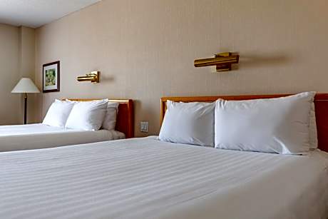 Classic Double Room with Two Double Beds