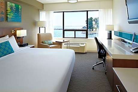 Room, 1 King Bed
