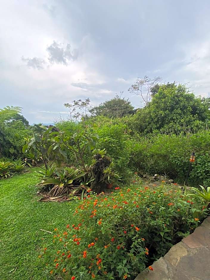Birds & Breakfast Costa Rica