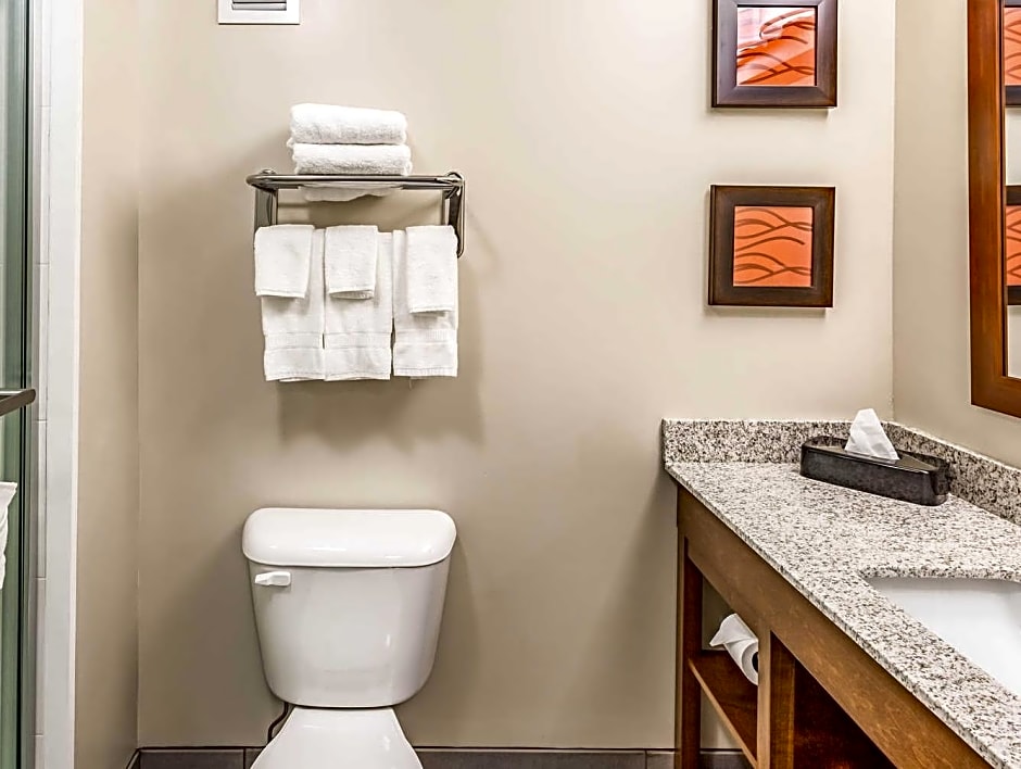 Quality Inn Bessemer I-20 exit 108