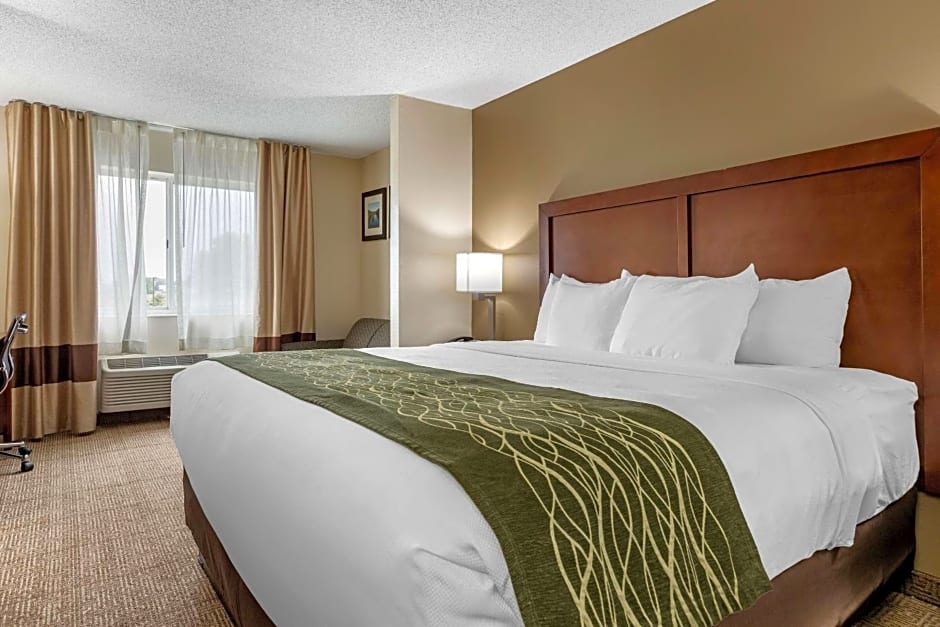 Comfort Inn & Suites Dimondale - Lansing