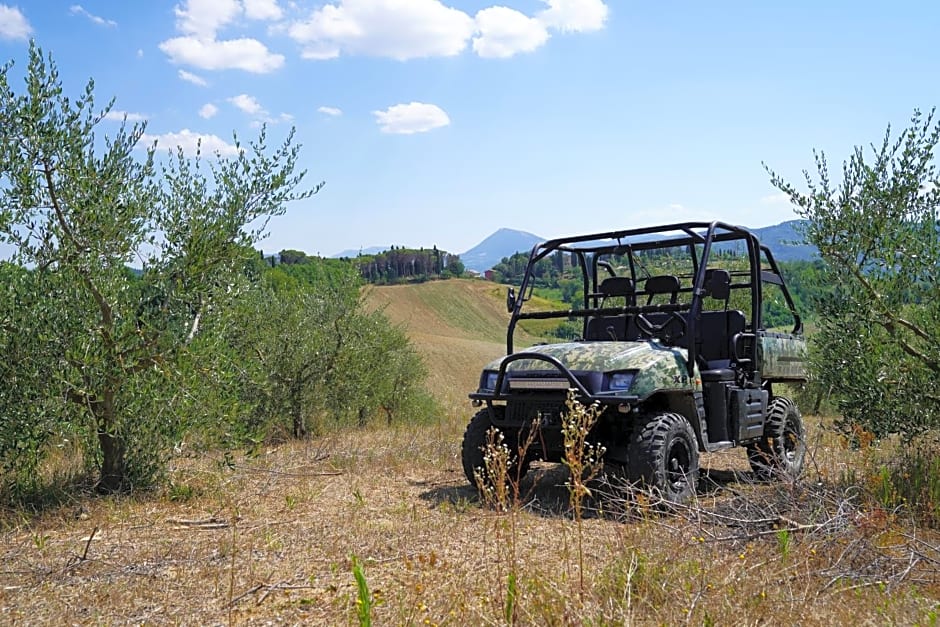 Agriturismo Il Sarale - Umbria