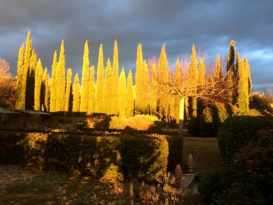 B&B Petite Maison Le Jardin