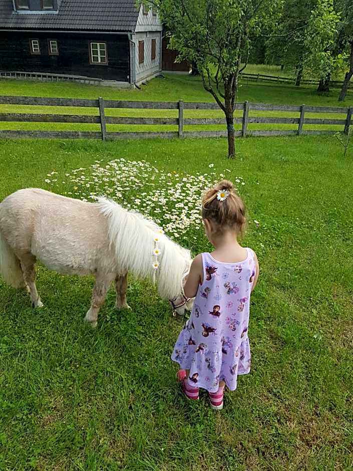 Sport & Familienhotel Bärenwirt