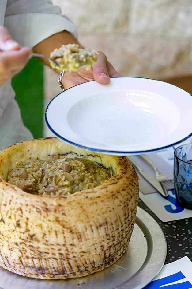 Chic & Basic Gravity