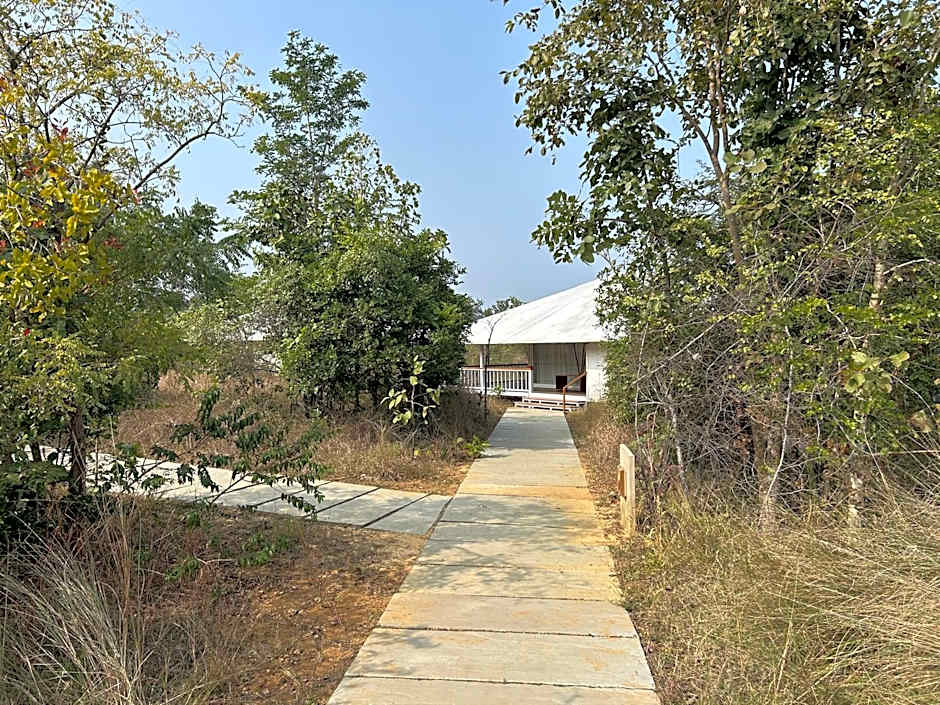 Tree of Life Ramvilas, Bandhavgarh