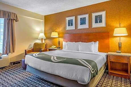 1 King Bed, Business Room, Nonsmoking