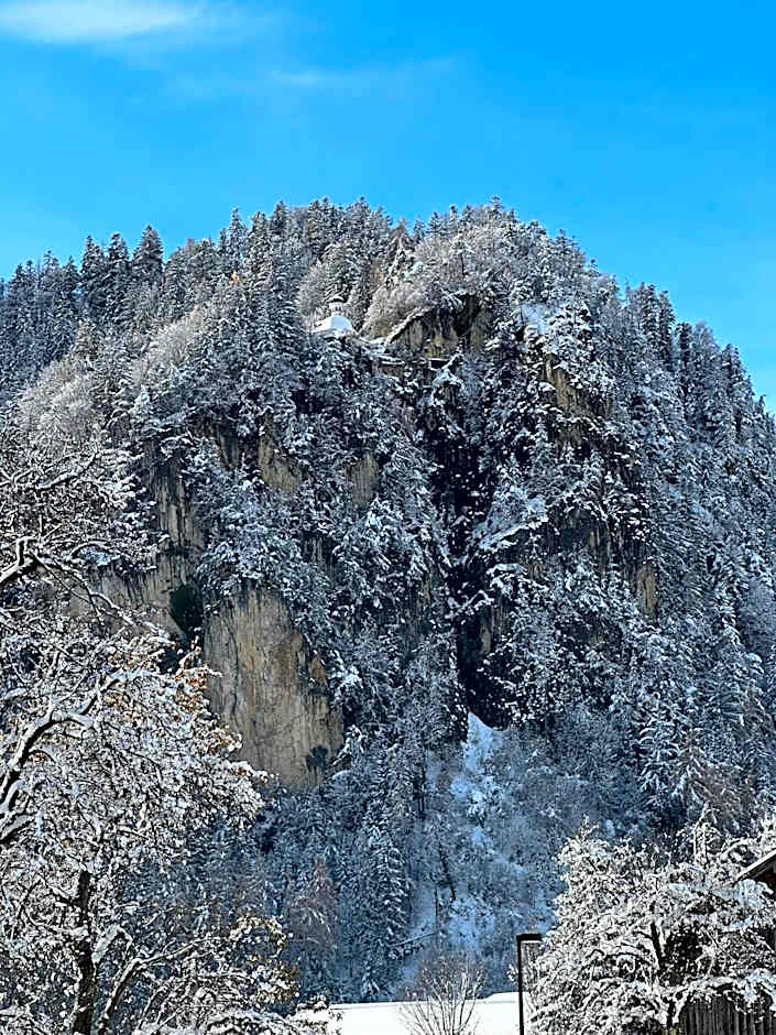 Hotel Cafe-Zillertal