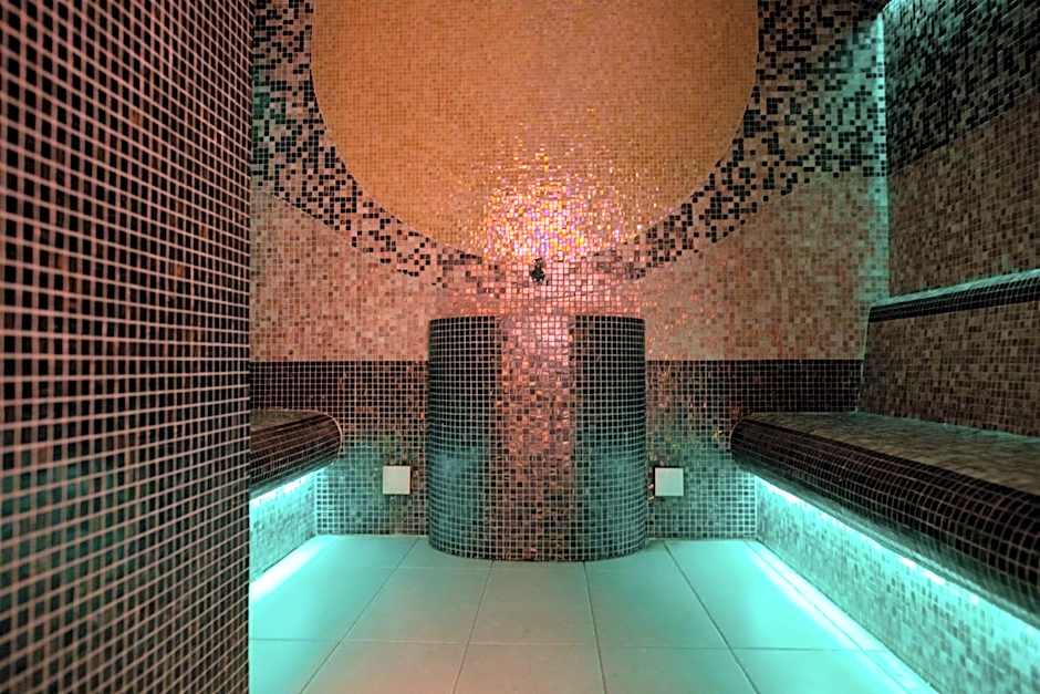 Hotel Olanesti & Spa Medical