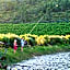 Vredehoek Guest Farm