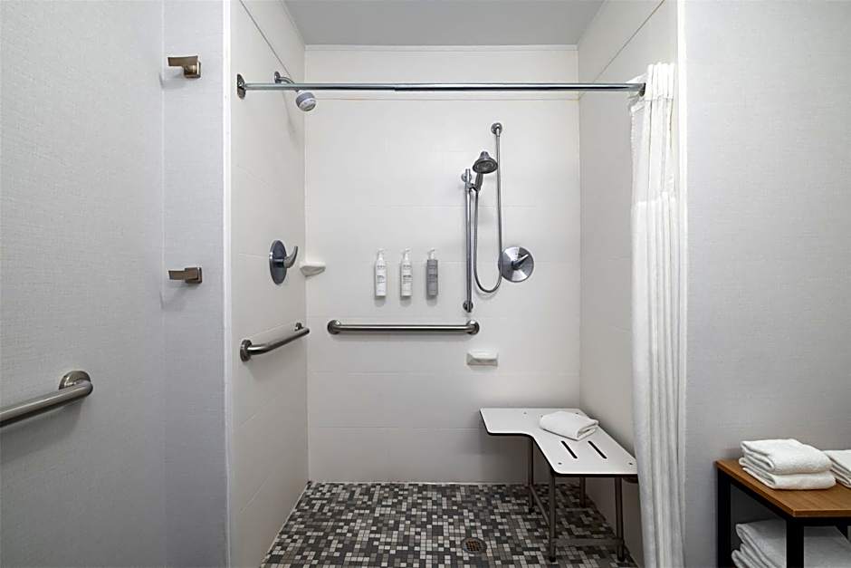 Hampton Inn & Suites Roanoke Downtown