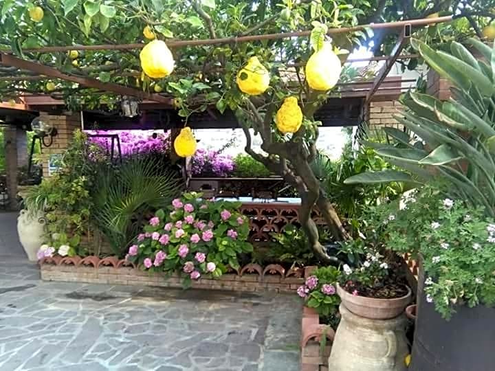 B&B La Porta Del Cilento