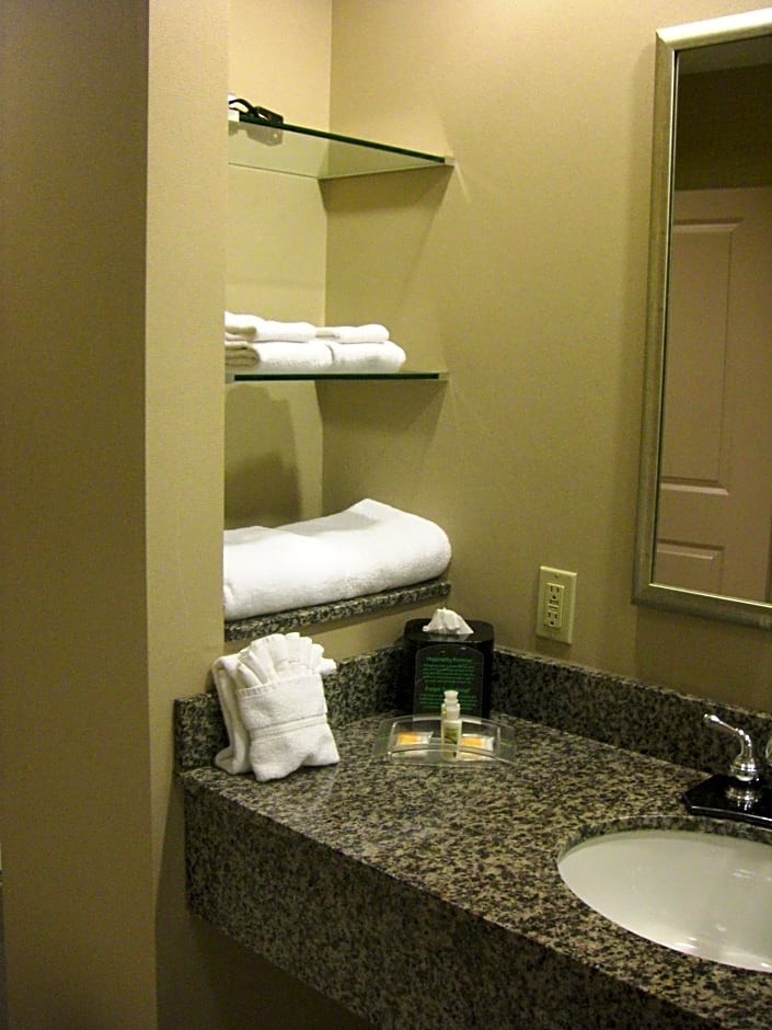 Holiday Inn St. Paul Northeast - Lake Elmo By IHG