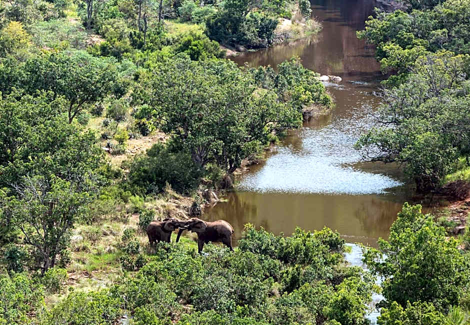 Clifftop Exclusive Safari Hideaway