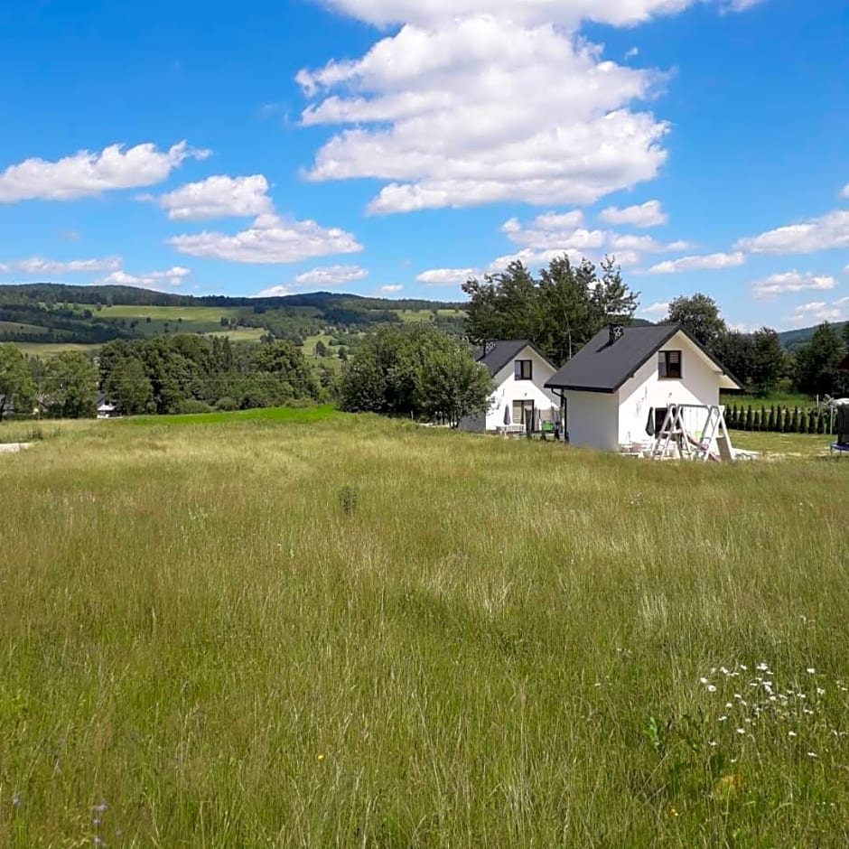 Domek pod Holicą 2 Bieszczady